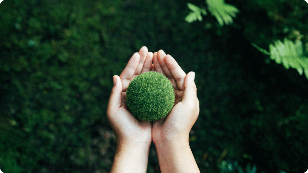 OSM Advances Sustainability with Carbon Accounting and Solar Energy Initiatives